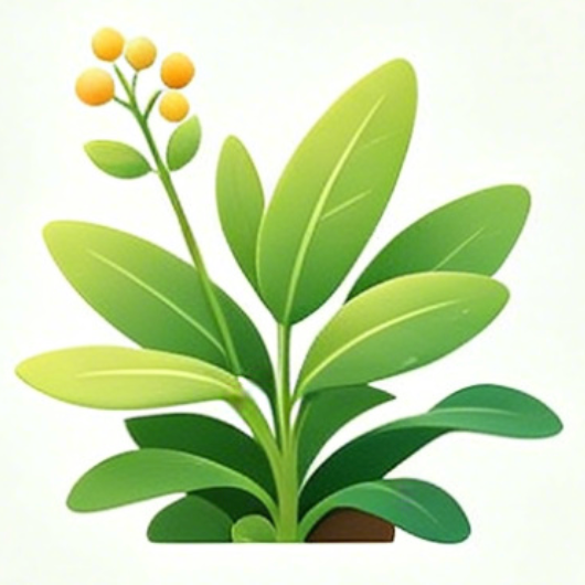 拍照识别植物